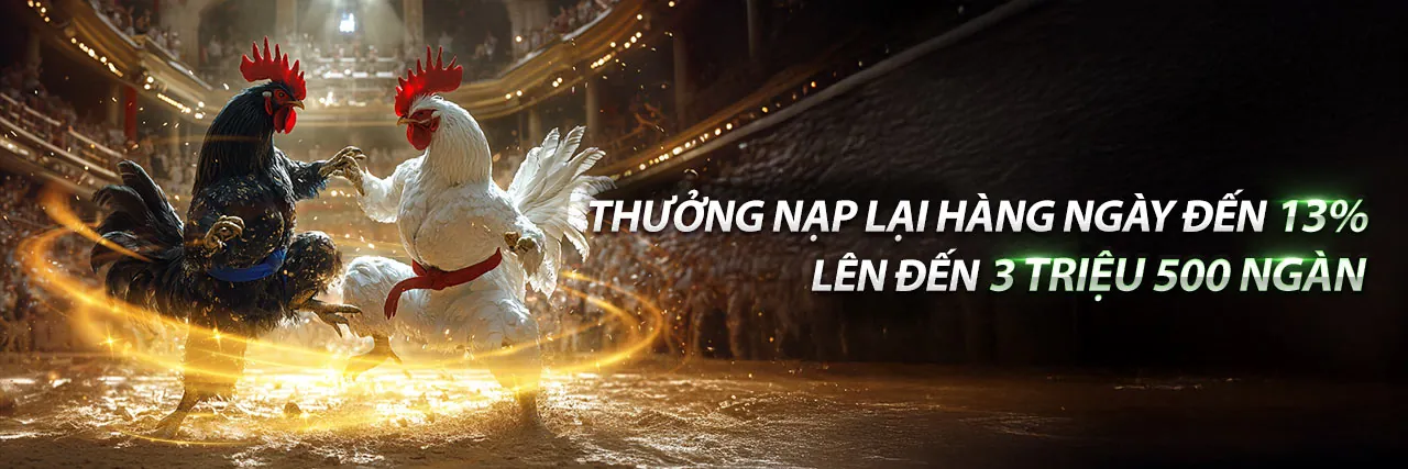 Hình ảnh tổng quan về tin tức và khuyến mãi xvip